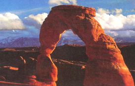 Arches