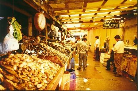 Fischmarkt in Puerto Montt 
